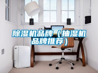 企業(yè)新聞除濕機品牌（抽濕機品牌推薦）