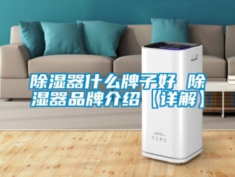 行業新聞除濕器什么牌子好 除濕器品牌介紹【詳解】