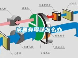 常見問(wèn)題家里有霉味怎么辦