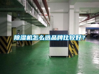 企業新聞除濕機怎么選品牌比較好？