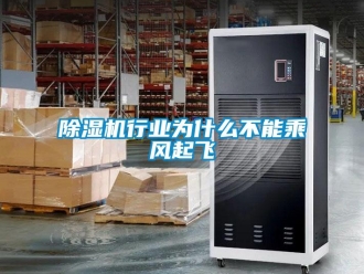 企業(yè)新聞除濕機(jī)行業(yè)為什么不能乘風(fēng)起飛