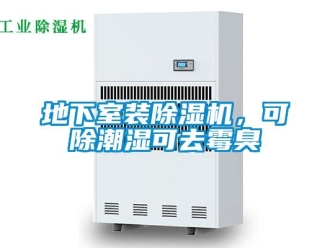 企業(yè)新聞地下室裝除濕機(jī)，可除潮濕可去霉臭