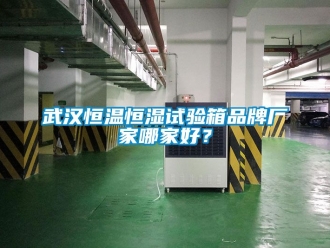 知識百科武漢恒溫恒濕試驗箱品牌廠家哪家好？