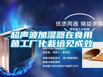 企業(yè)新聞超聲波加濕器在食用菌工廠化栽培見(jiàn)成效