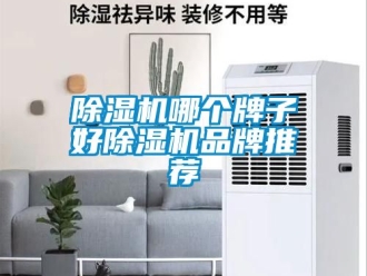 企業新聞除濕機哪個牌子好除濕機品牌推薦