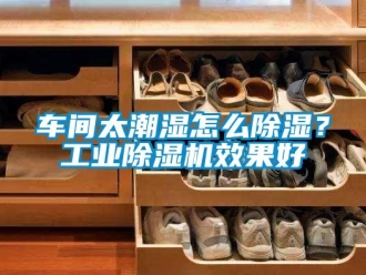 常見(jiàn)問(wèn)題車(chē)間太潮濕怎么除濕？工業(yè)除濕機(jī)效果好