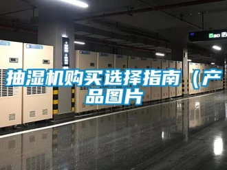 企業新聞抽濕機購買選擇指南（產品圖片