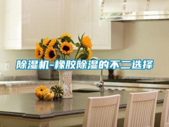 企業新聞除濕機-橡膠除濕的不二選擇