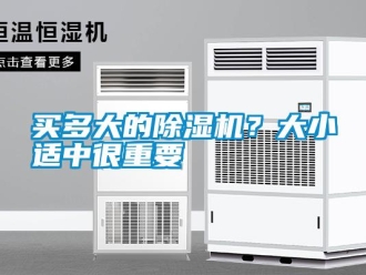 行業新聞買多大的除濕機？大小適中很重要