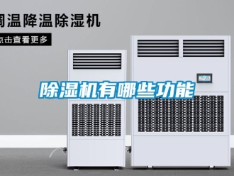 行業新聞除濕機有哪些功能