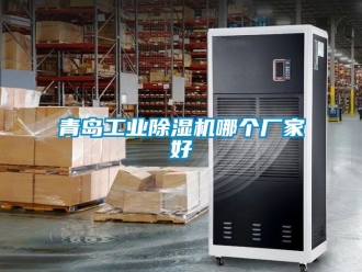 企業(yè)新聞青島工業(yè)除濕機(jī)哪個廠家好