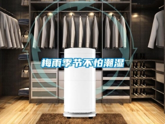 行業新聞梅雨季節不怕潮濕