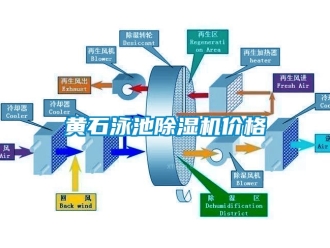 企業(yè)新聞黃石泳池除濕機(jī)價(jià)格