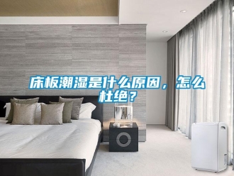 常見(jiàn)問(wèn)題床板潮濕是什么原因，怎么杜絕？