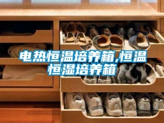 知識百科電熱恒溫培養箱,恒溫恒濕培養箱