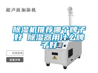 行業新聞除濕機推薦哪個牌子好 除濕器用什么牌子好