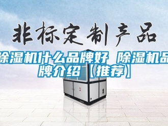 企業新聞除濕機什么品牌好 除濕機品牌介紹【推薦】