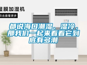 企業新聞都說海口潮濕、濕冷，那我們一起來看看它到底有多潮