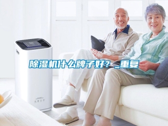 行業(yè)新聞除濕機(jī)什么牌子好？_重復(fù)