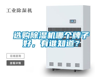 行業新聞選購除濕機哪個牌子好，有誰知道？