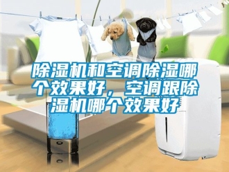 行業新聞除濕機和空調除濕哪個效果好，空調跟除濕機哪個效果好
