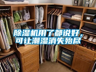 企業(yè)新聞除濕機用了都說好，可讓潮濕消失殆盡