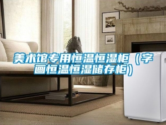 知識(shí)百科美術(shù)館專(zhuān)用恒溫恒濕柜（字畫(huà)恒溫恒濕儲(chǔ)存柜）
