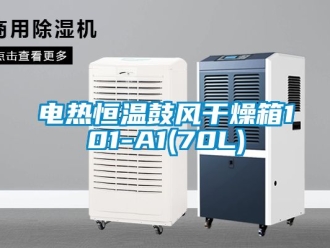 知識百科電熱恒溫鼓風干燥箱101-A1(70L)