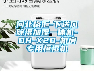 知識(shí)百科河北格匯-下送風(fēng)除濕加濕一體機(jī)-DH-X20-機(jī)房專用恒濕機(jī)