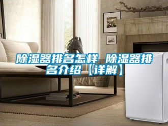 行業新聞除濕器排名怎樣 除濕器排名介紹【詳解】