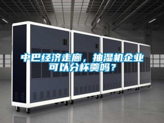 常見問題中巴經(jīng)濟(jì)走廊，抽濕機(jī)企業(yè)可以分杯羹嗎？