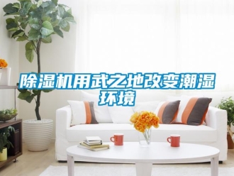企業(yè)新聞除濕機用武之地改變潮濕環(huán)境