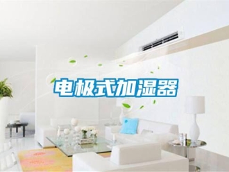 企業(yè)新聞電極式加濕器