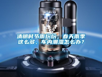 常見(jiàn)問(wèn)題清明時(shí)節(jié)雨紛紛，春天雨季這么多，車(chē)內(nèi)潮濕怎么辦？