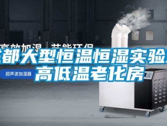 知識百科成都大型恒溫恒濕實驗室 高低溫老化房