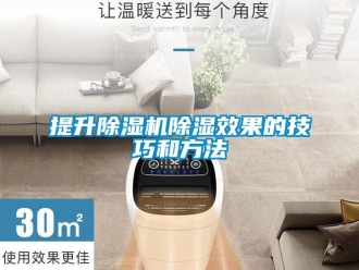 知識百科提升除濕機除濕效果的技巧和方法
