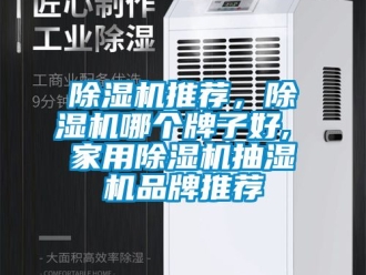 企業(yè)新聞除濕機推薦，除濕機哪個牌子好, 家用除濕機抽濕機品牌推薦