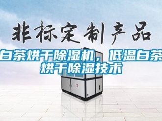 常見問題白茶烘干除濕機，低溫白茶烘干除濕技術