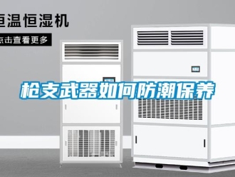 常見問題槍支武器如何防潮保養