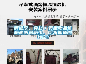 企業新聞潮濕季，食材／貴重物品該防潮防霉防蟲，你不知道的秘密！