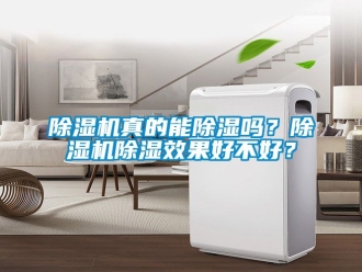 行業新聞除濕機真的能除濕嗎？除濕機除濕效果好不好？