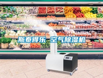 知識百科斯泰得樂 空氣除濕機