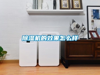 企業新聞除濕機的效果怎么樣