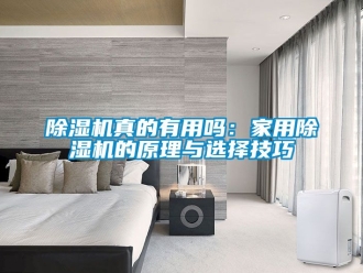 常見(jiàn)問(wèn)題除濕機(jī)真的有用嗎：家用除濕機(jī)的原理與選擇技巧