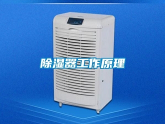 行業新聞除濕器工作原理