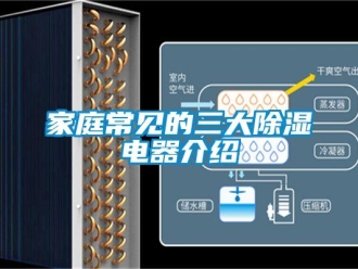 行業新聞家庭常見的三大除濕電器介紹