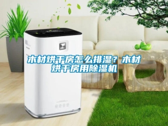 常見問題木材烘干房怎么排濕？木材烘干房用除濕機