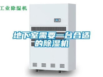 企業(yè)新聞地下室需要一臺(tái)合適的除濕機(jī)