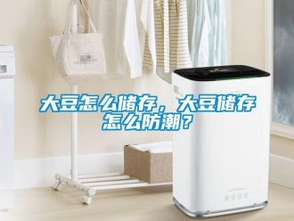常見問題大豆怎么儲存，大豆儲存怎么防潮？