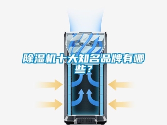 企業新聞除濕機十大知名品牌有哪些？